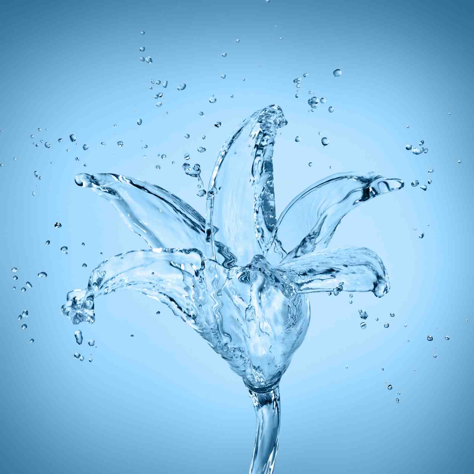 Liquid Flower Splash Wall Art - Refreshing Nature Art