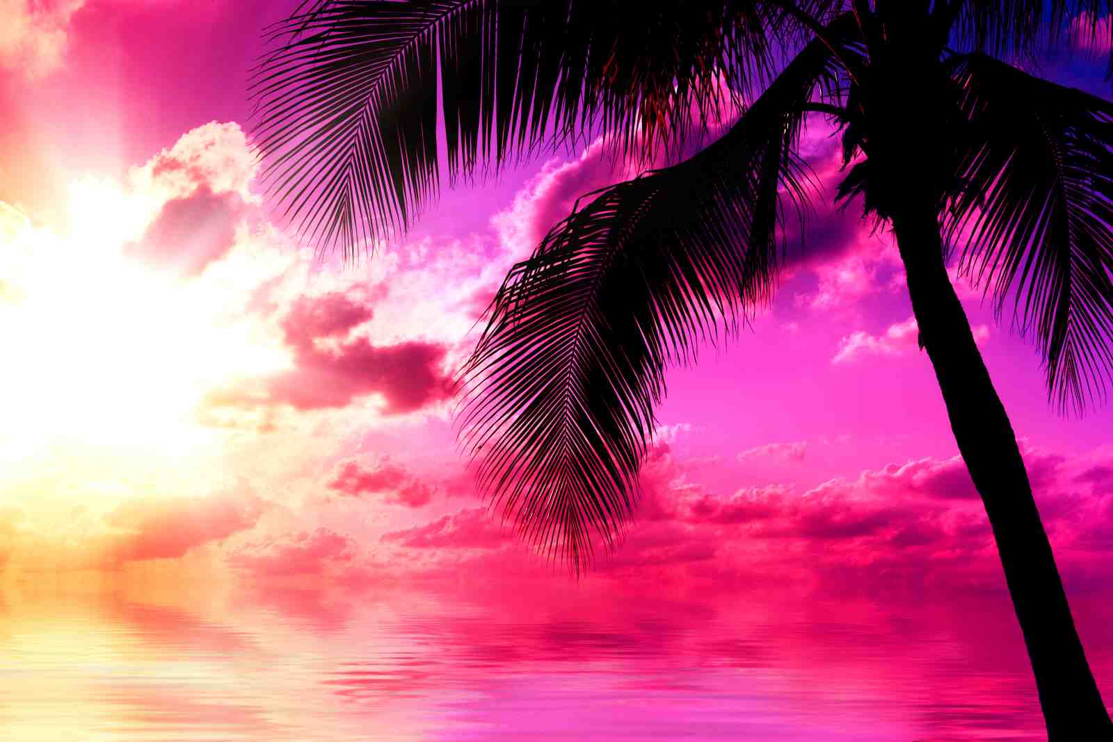 Vibrant Tropical Sunset Palm Tree Wall Art