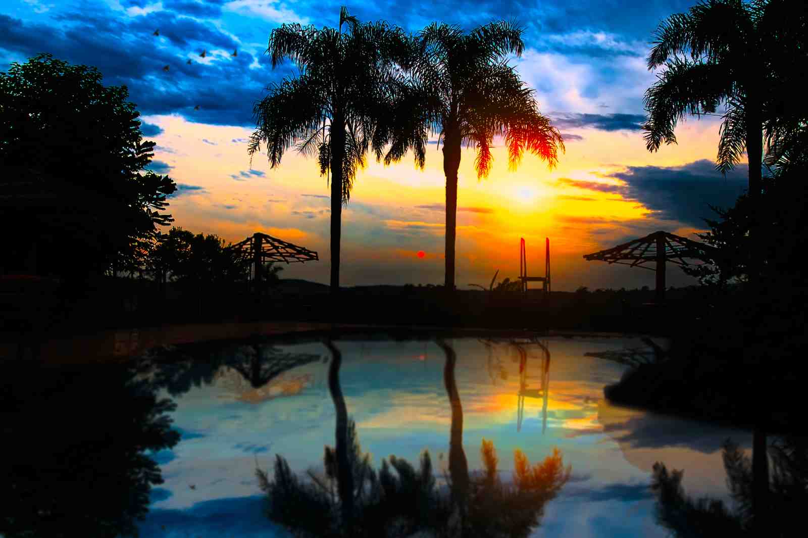 Tropical Sunset Palm Trees Wall Art