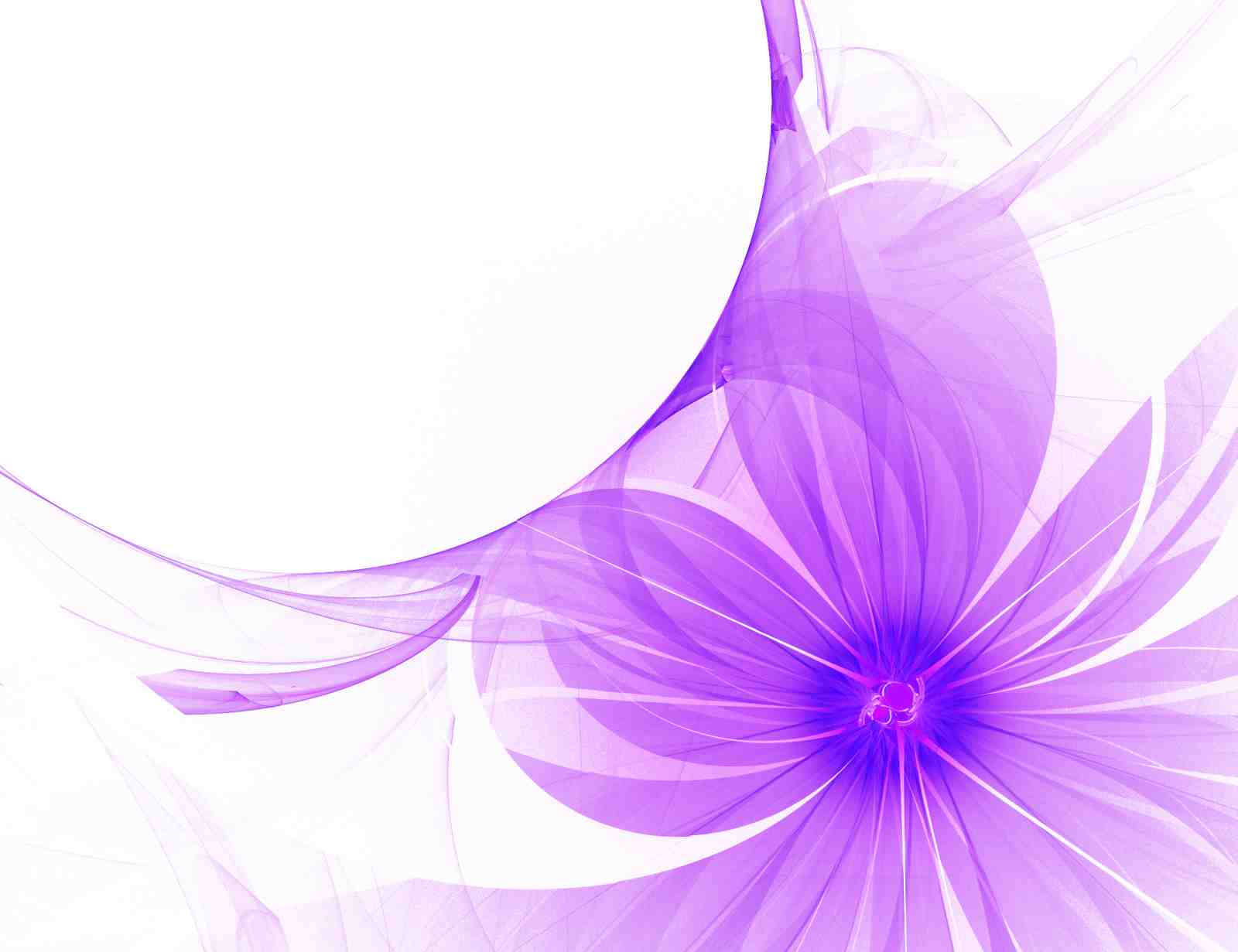 Abstract Purple Orchid Wall Art