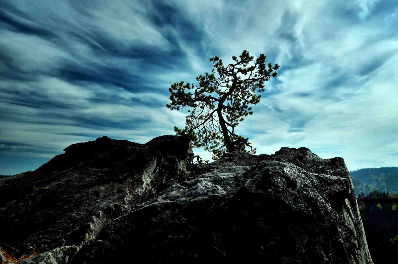 Dramatic Lone Tree Rocky Vista Wall Art