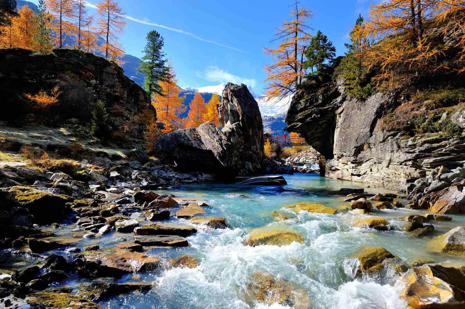 Alpine River Autumn Glow Wall Art