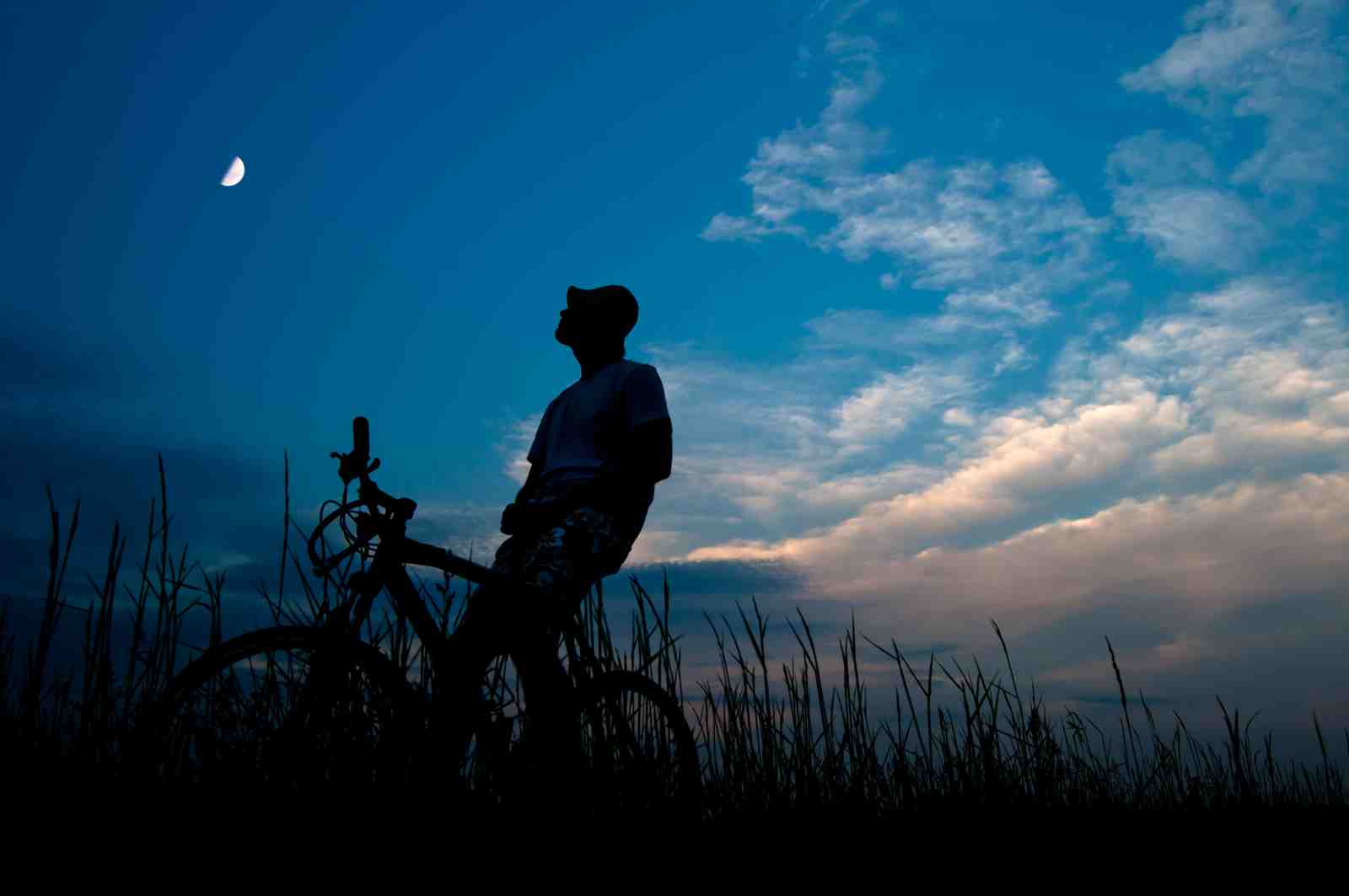 Boy & Moon Silhouette Bicycle Wall Art
