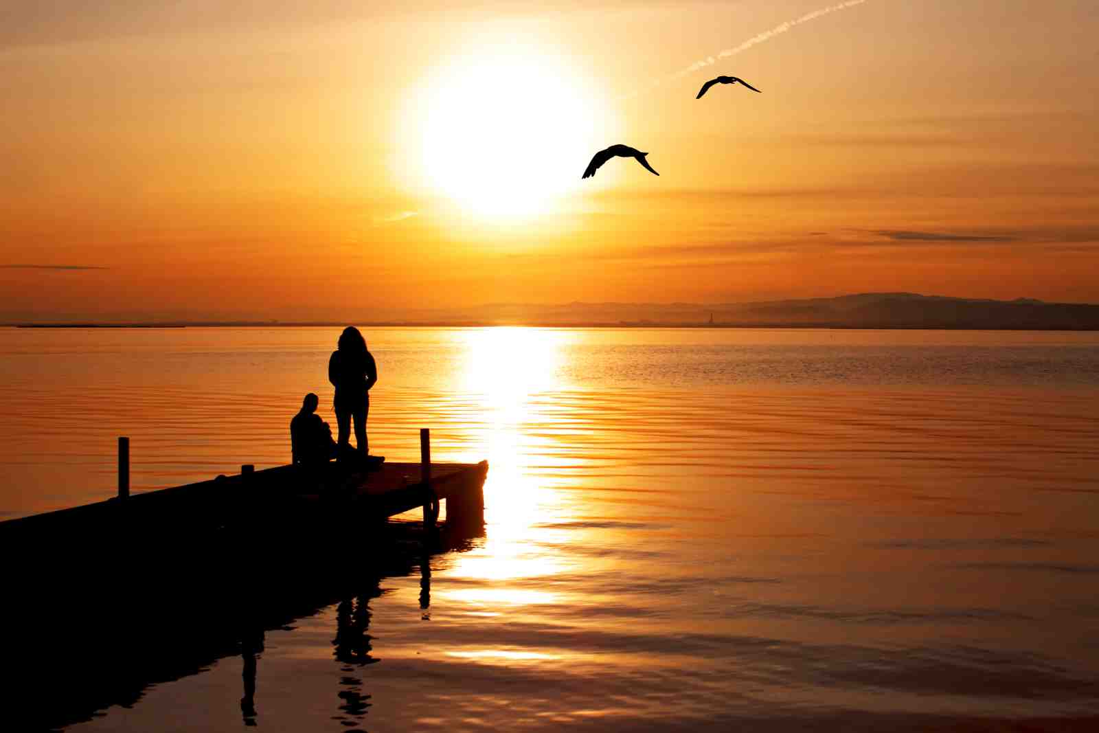 Serene Sunset Couple & Birds Wall Art