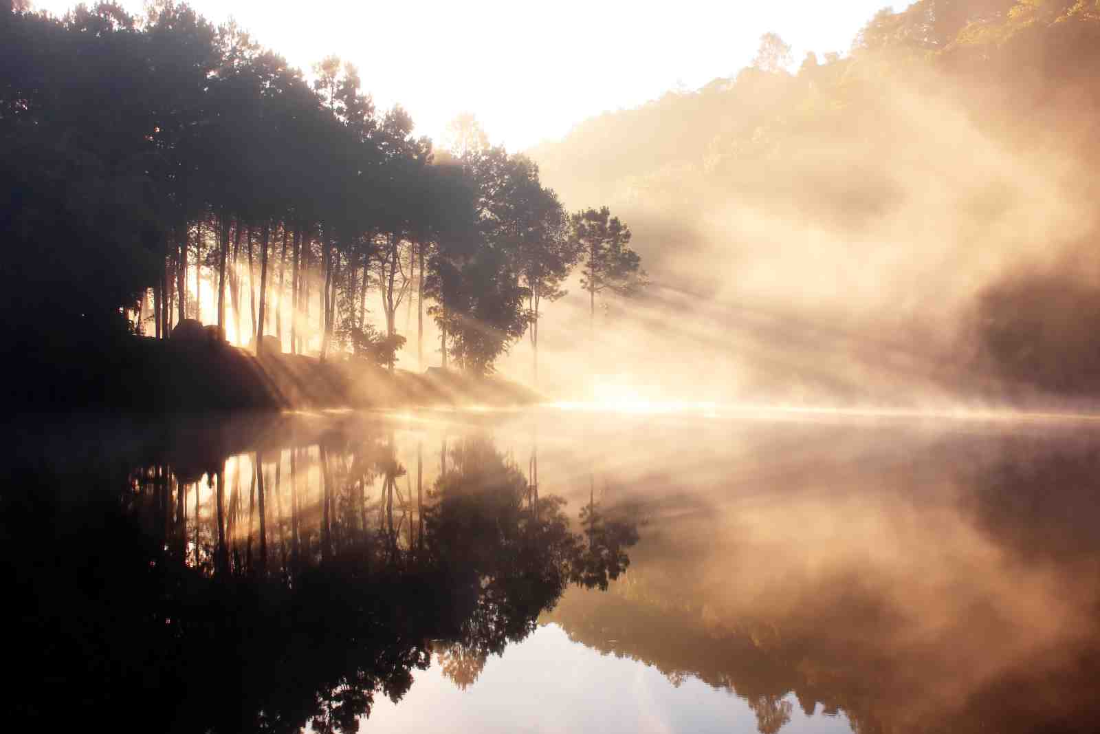 Misty Morning Lake Landscape Wall Art
