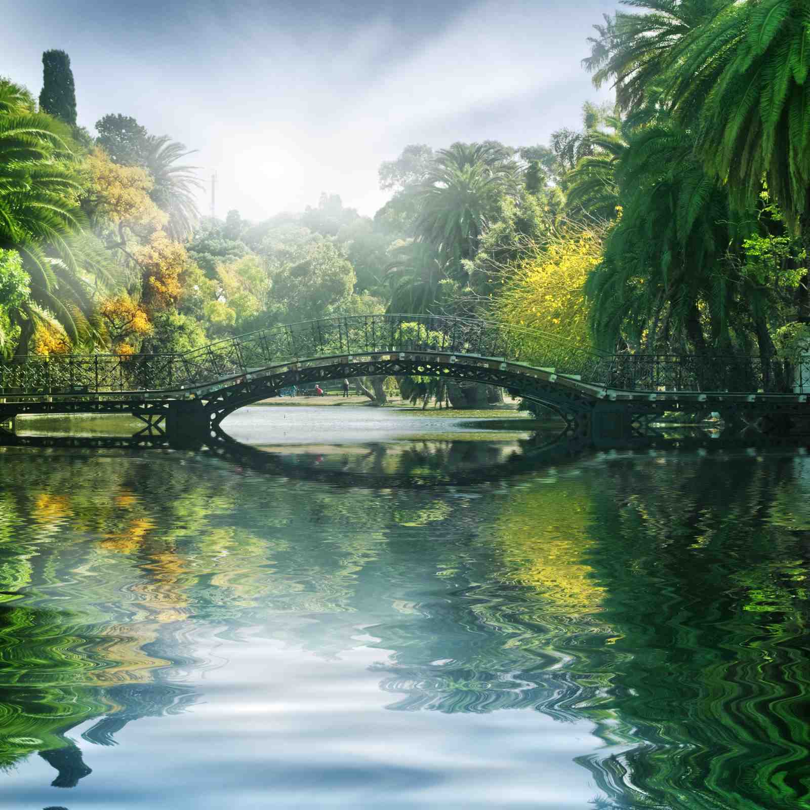 Enchanting Bridge Nature Landscape Wall Art