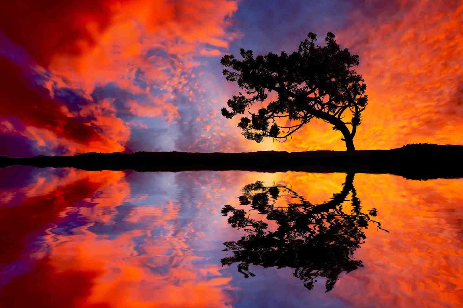 Vibrant Sunset Tree Reflection Wall Art
