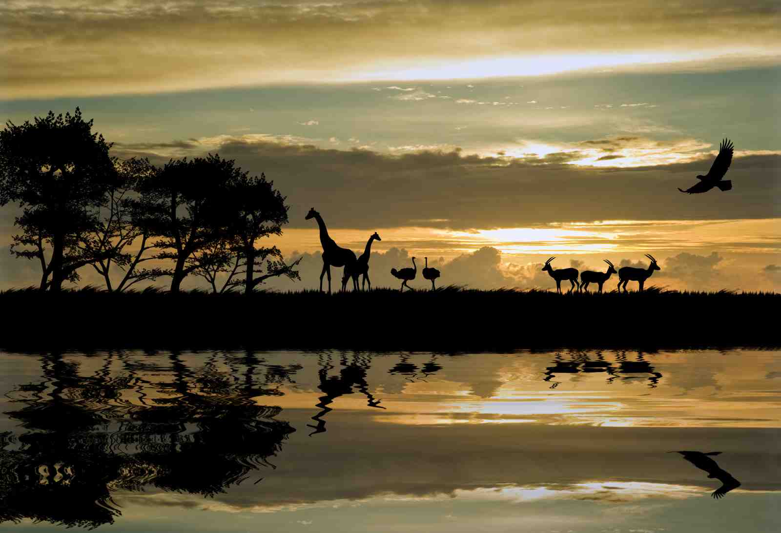 African Sunset Wildlife Wall Art