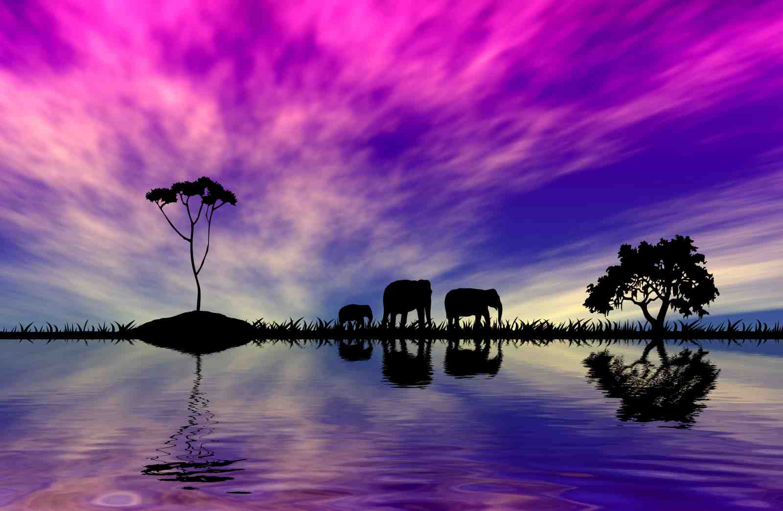 Serene Elephant Silhouette Wall Art
