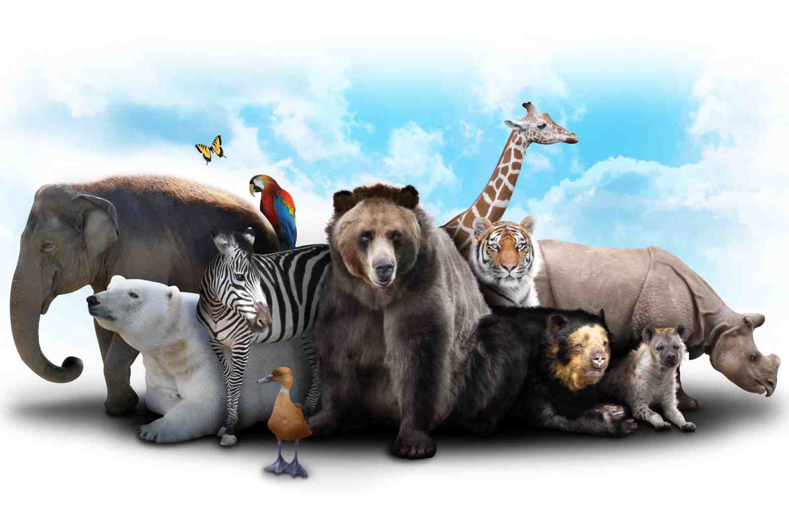 Majestic Wildlife Gathering Wall Art