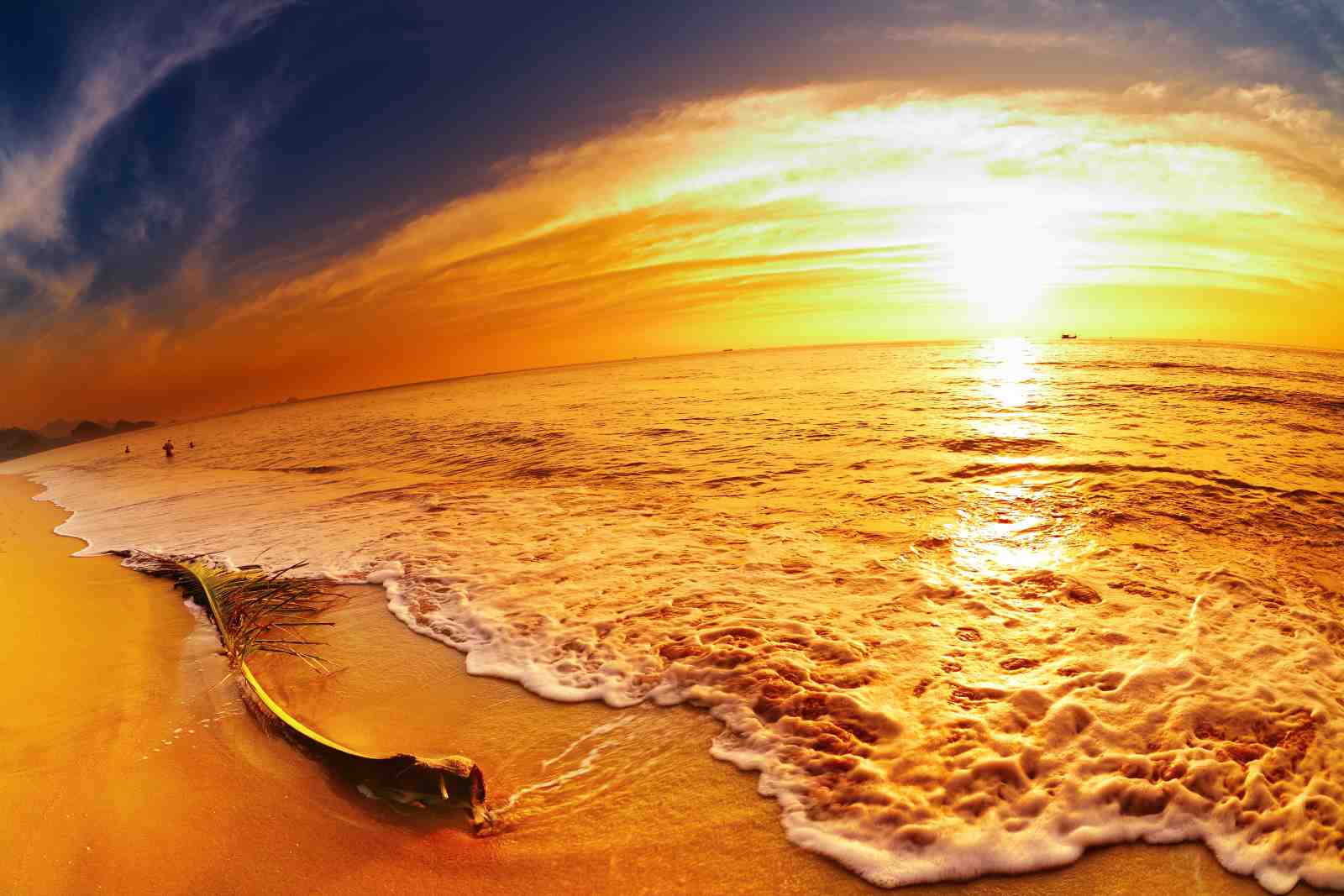 Golden Sunset Beach Seascape Wall Art
