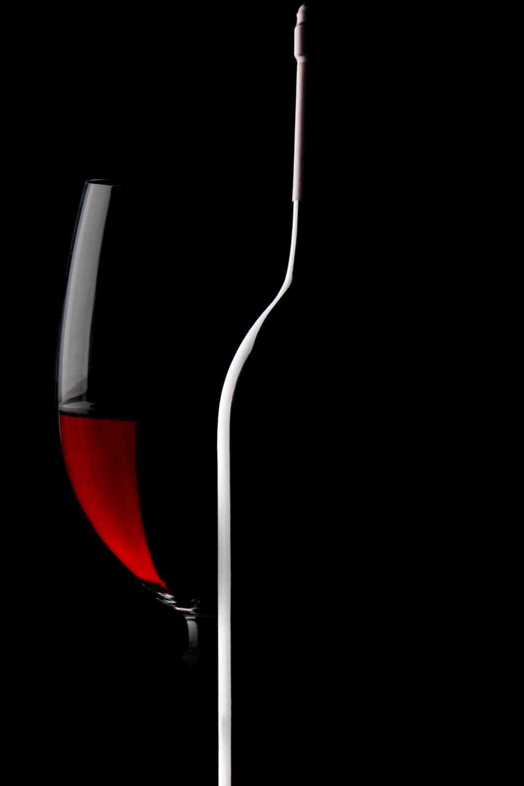 Elegant Red Wine Glass & Bottle Silhouette Wall Art