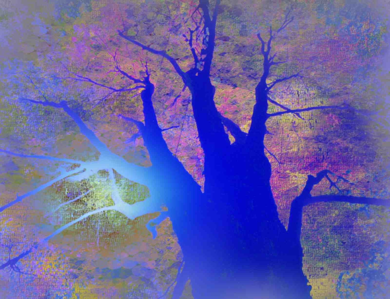 Vibrant Abstract Tree Wall Art