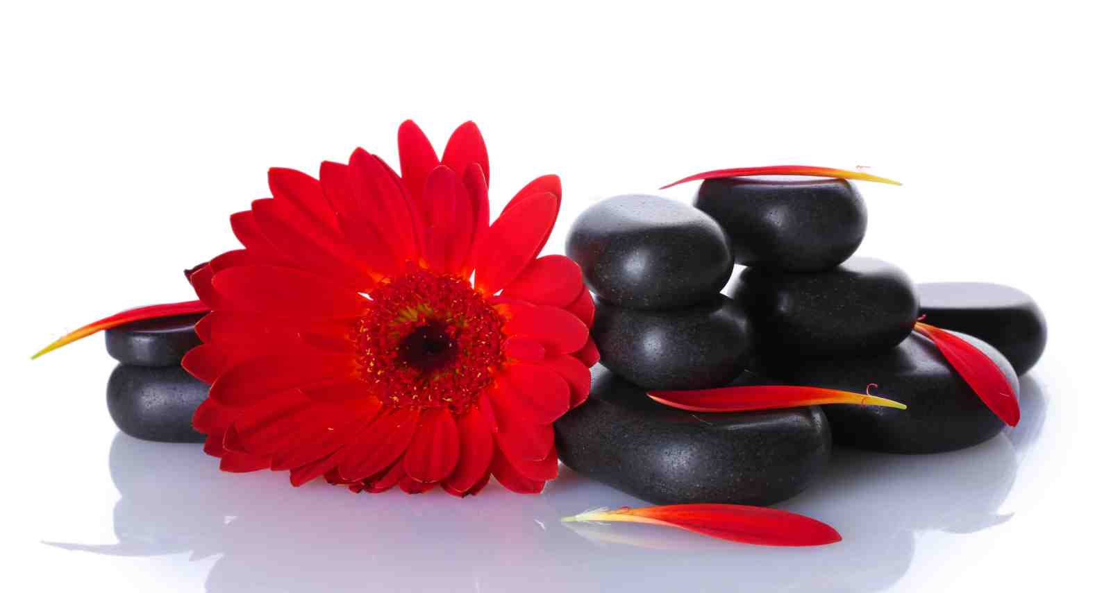 Red Gerbera Spa Stones Zen Wall Art