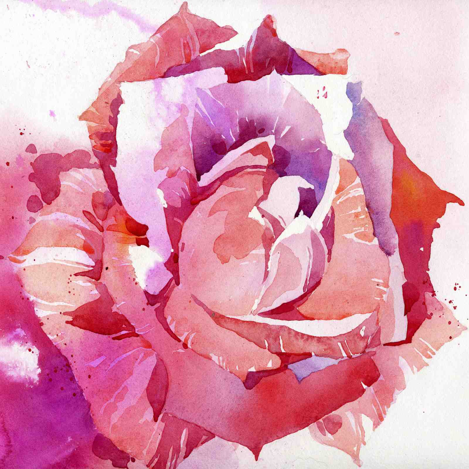 Vibrant Rose Watercolor Wall Art