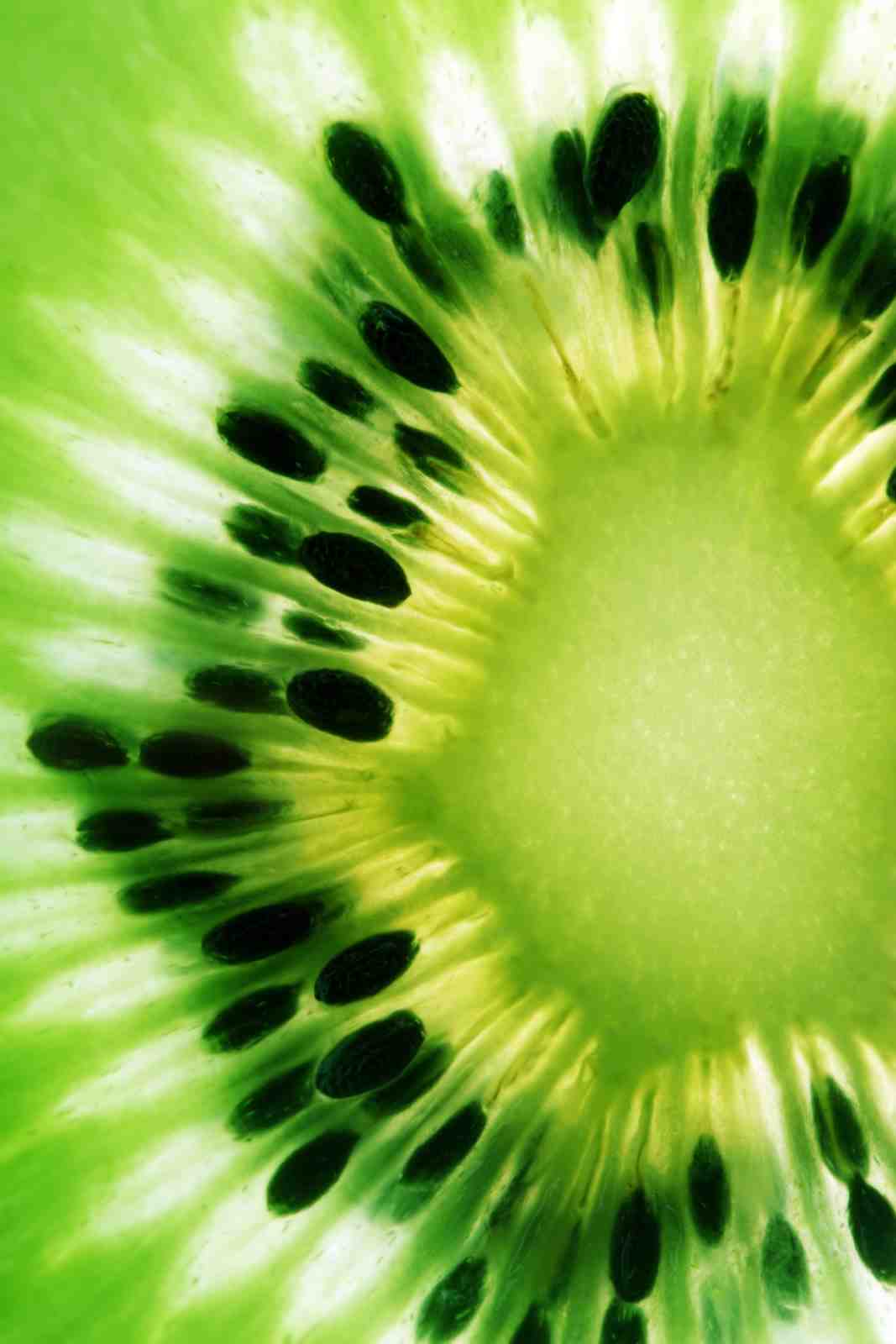 Vibrant Green Kiwi Slice Wall Art