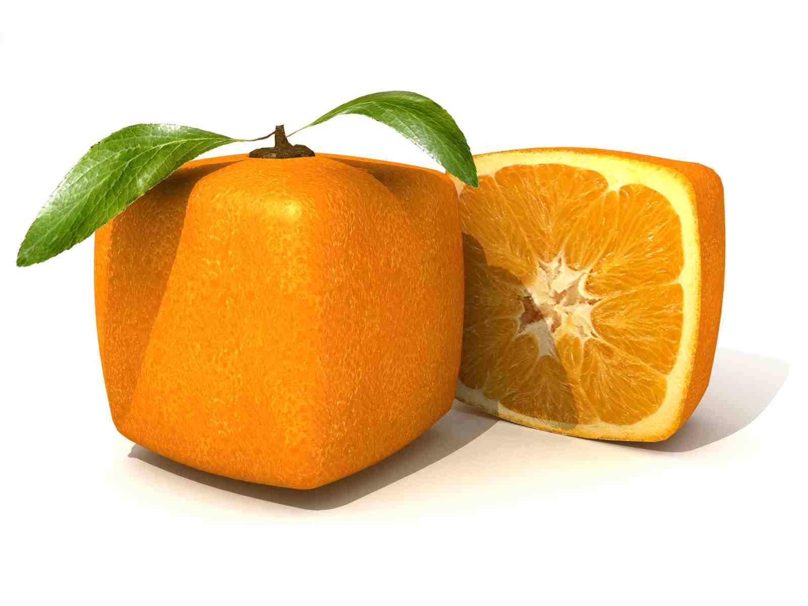 Modern Abstract Orange & Slice Wall Art
