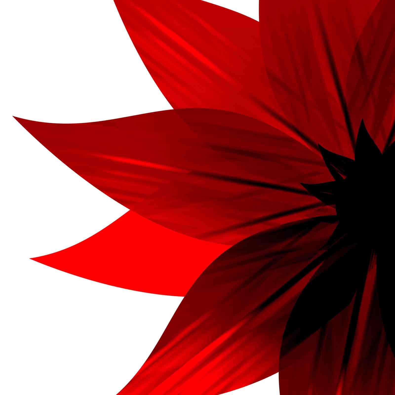 Bold Red Floral Petal Abstract Wall Art