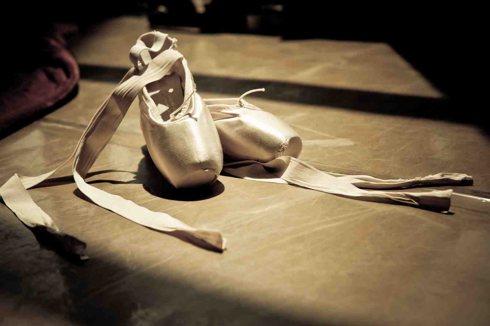 Elegant Ballet Slippers Serene Dancer Wall Art