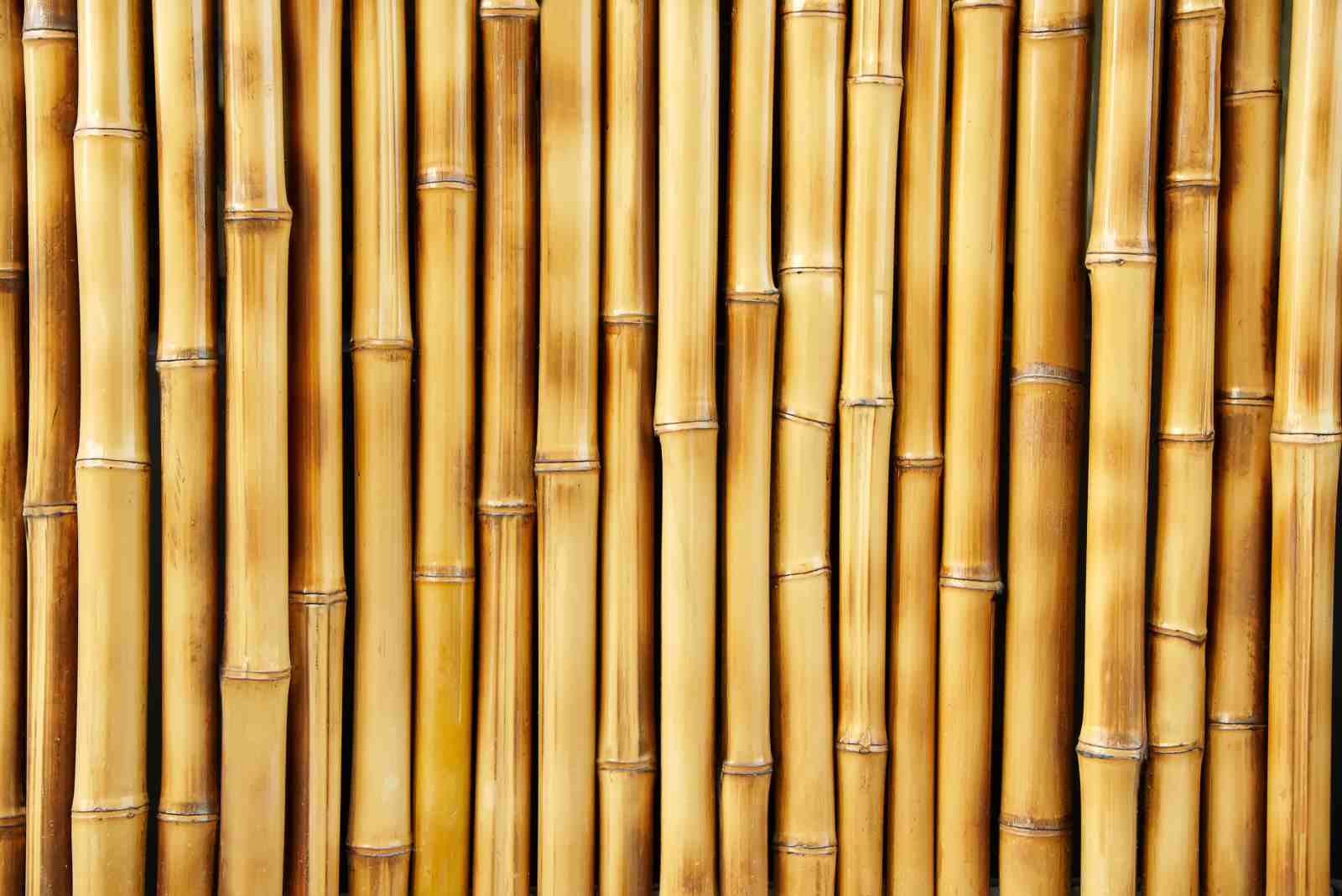 Natural Bamboo Wall Texture Wall Art