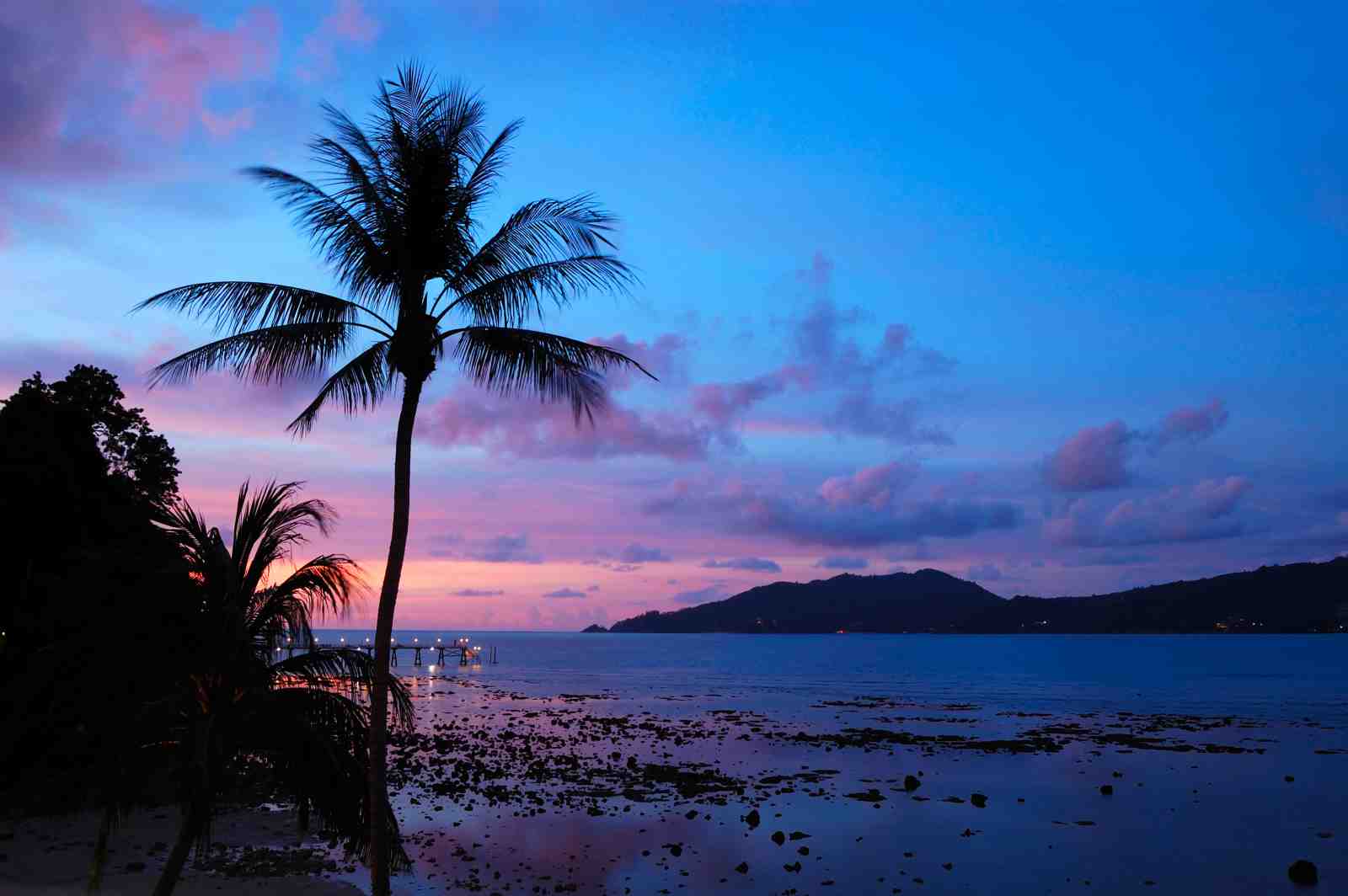 Tropical Sunset Palm Paradise Wall Art
