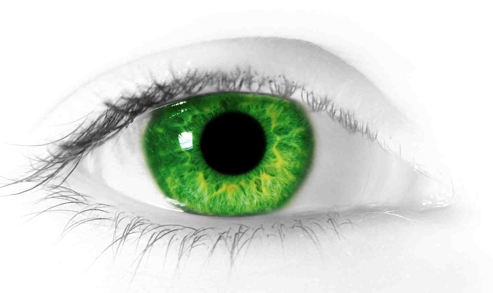 Vibrant Green Eye Macro Wall Art