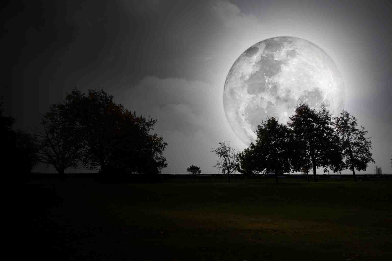 Mystic Full Moon Landscape Wall Art