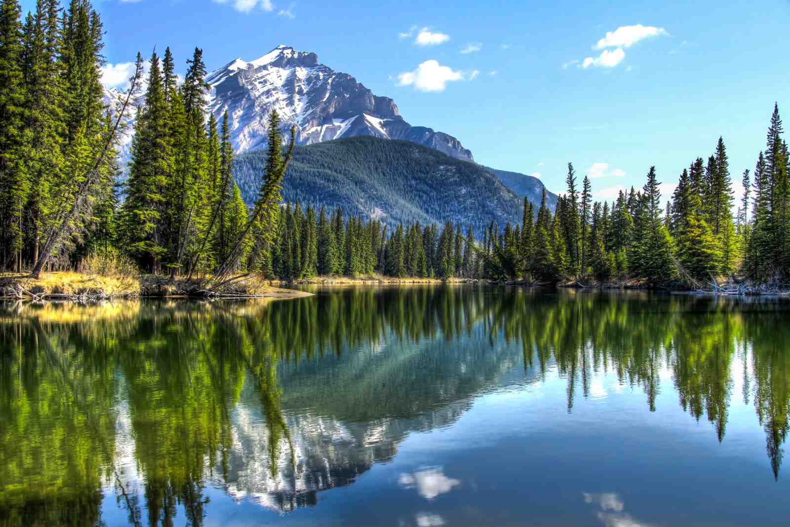 Tranquil Mountain Lake Serenity Wall Art
