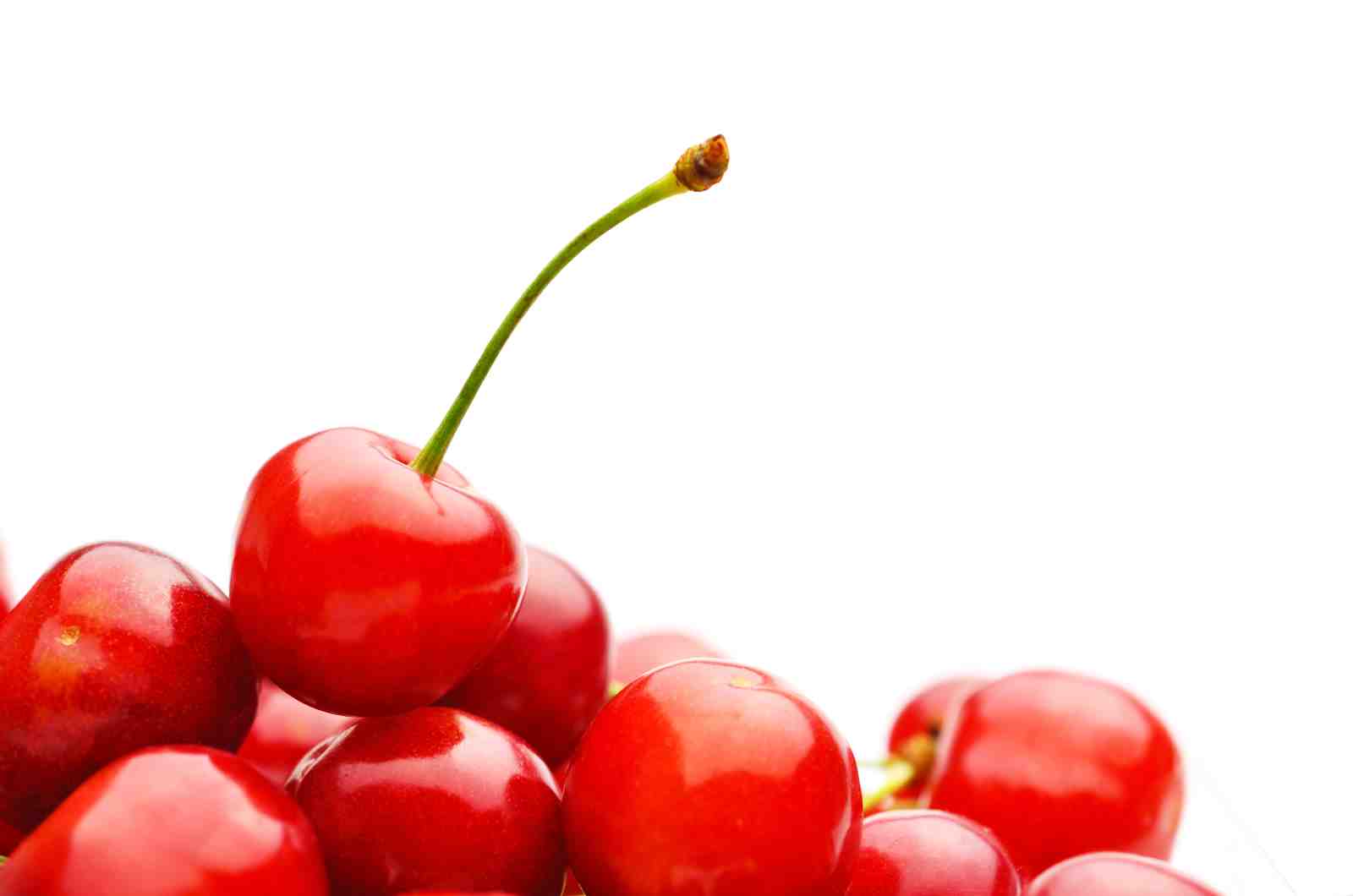 Vibrant Red Cherries Still Life Wall Art