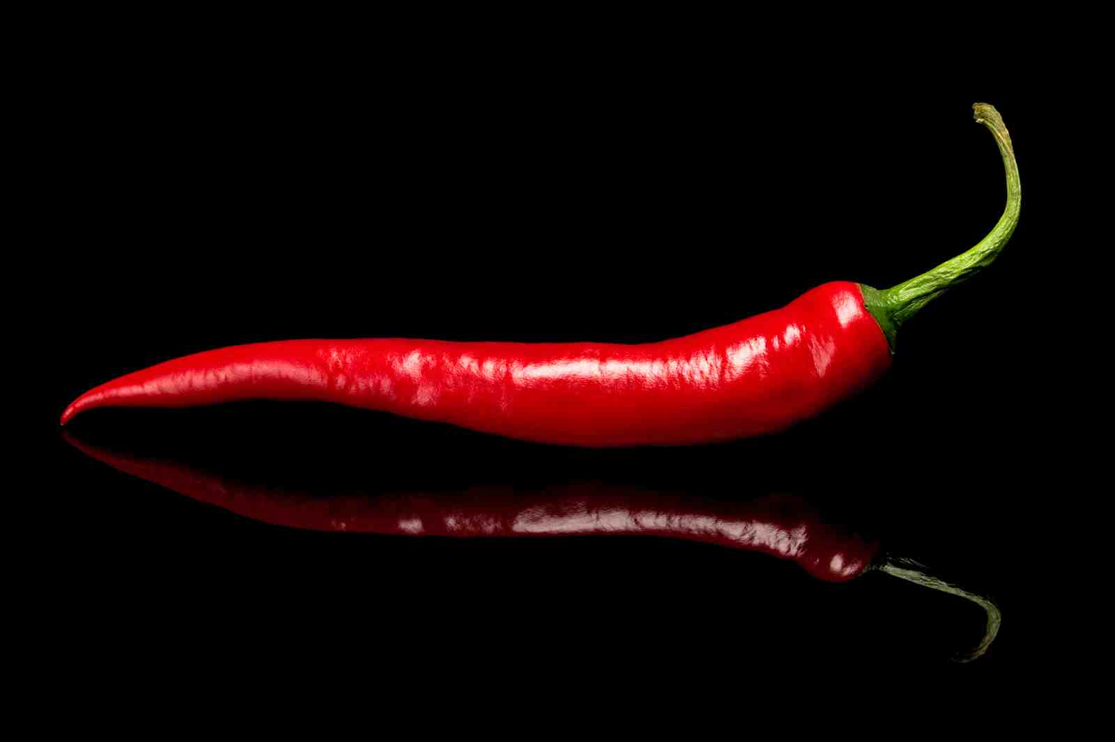 Vibrant Red Chili Pepper Statement Wall Art
