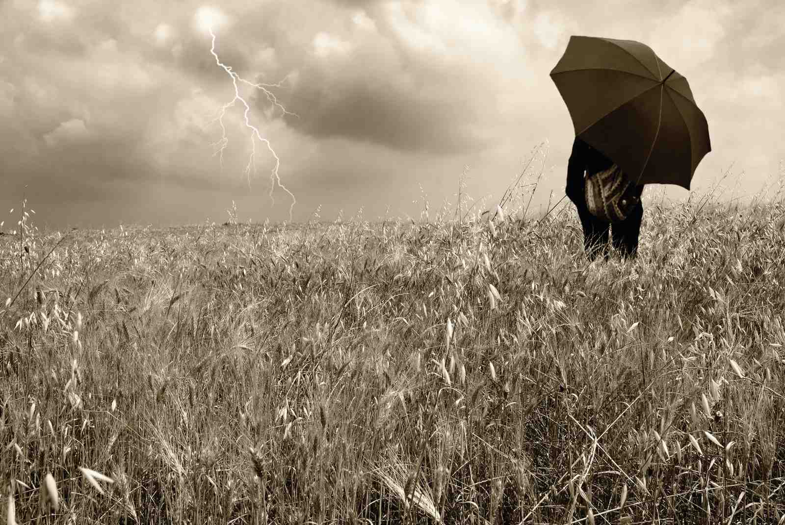 Stormy Field Solitude Vintage Wall Art