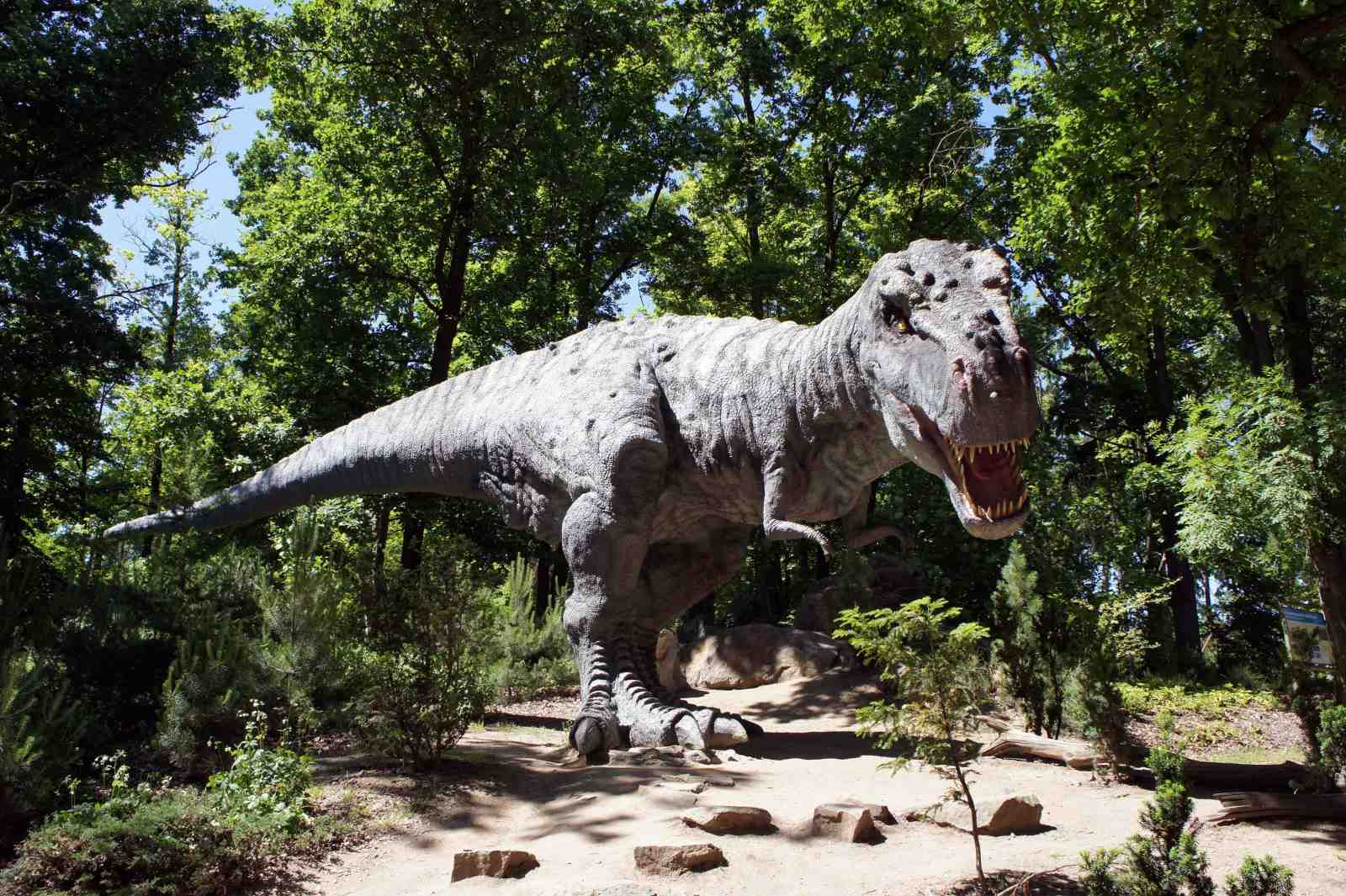 Roaring T-Rex Jungle Adventure Wall Art