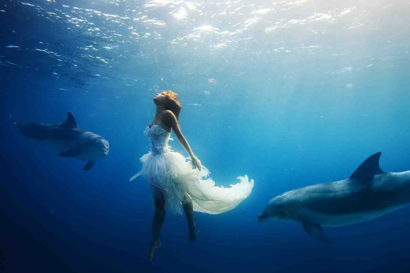 Enchanting Mermaid & Dolphin Underwater Wall Art