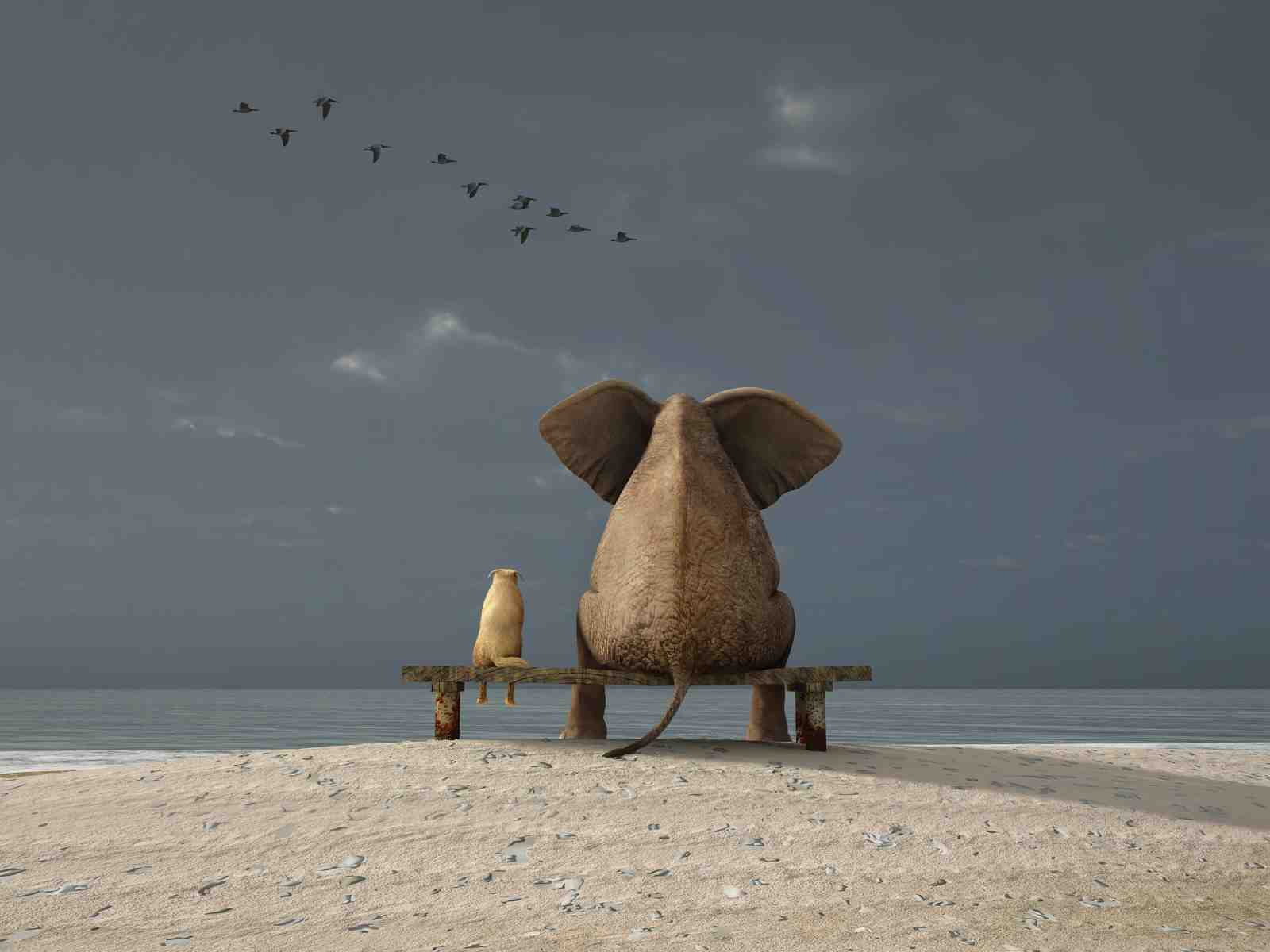 Friendship on the Beach Elephant Wall Art