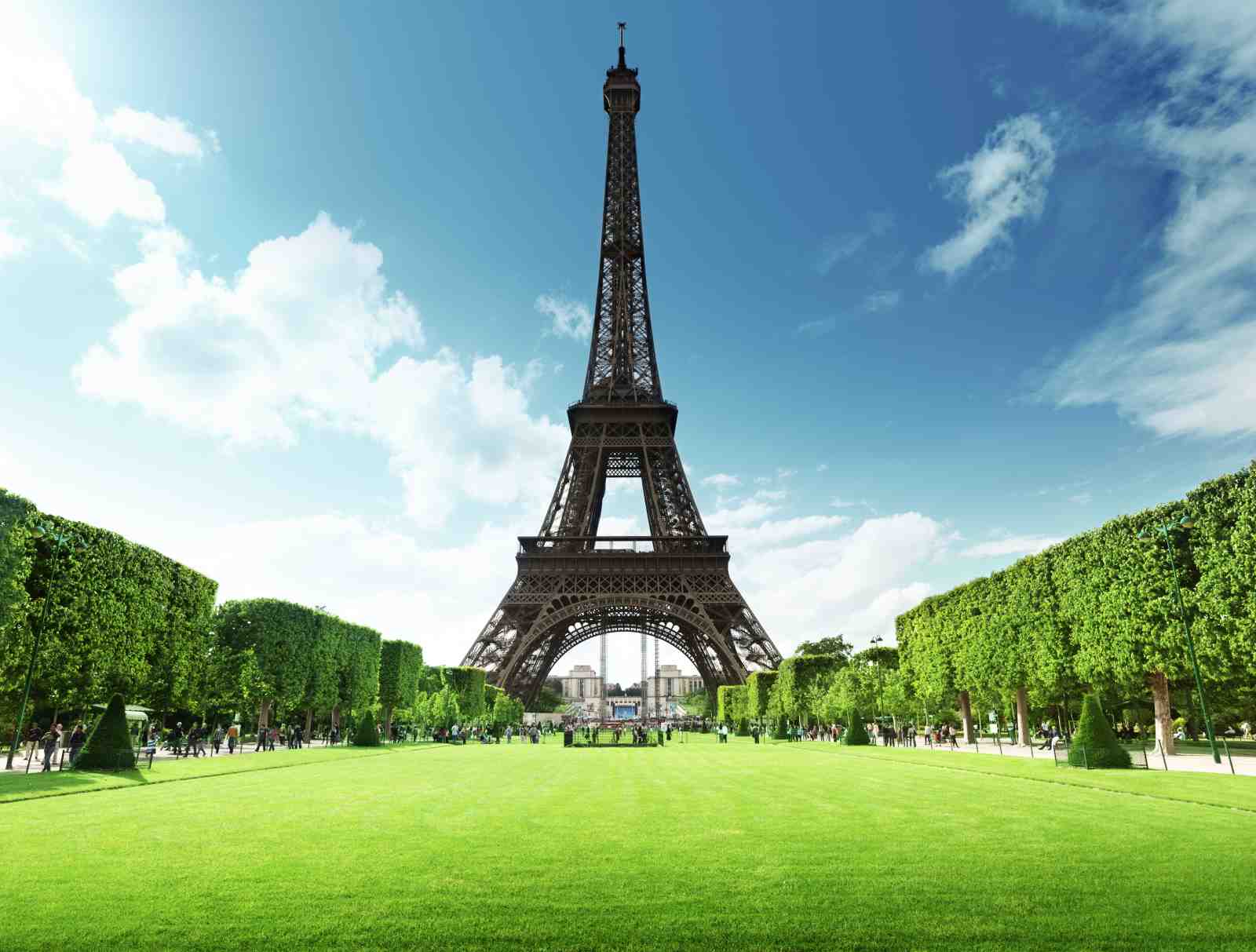 Eiffel Tower Paris France Green Field Wall Art