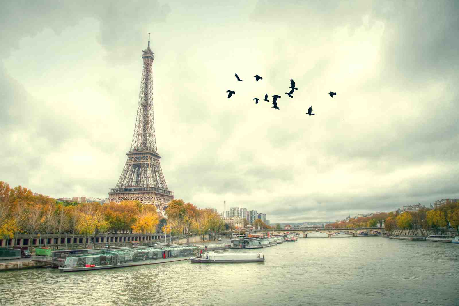 Parisian Eiffel Tower & Seine River Wall Art