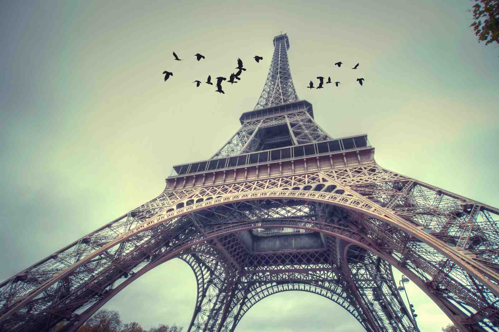 Eiffel Tower Birds Sky Wall Art