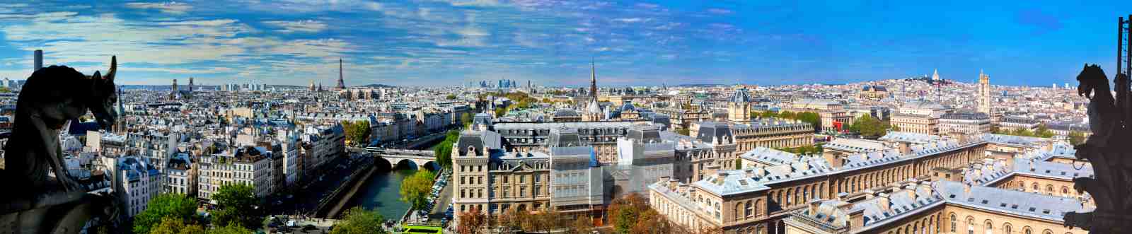 Paris Skyline Gargoyle View Wall Art