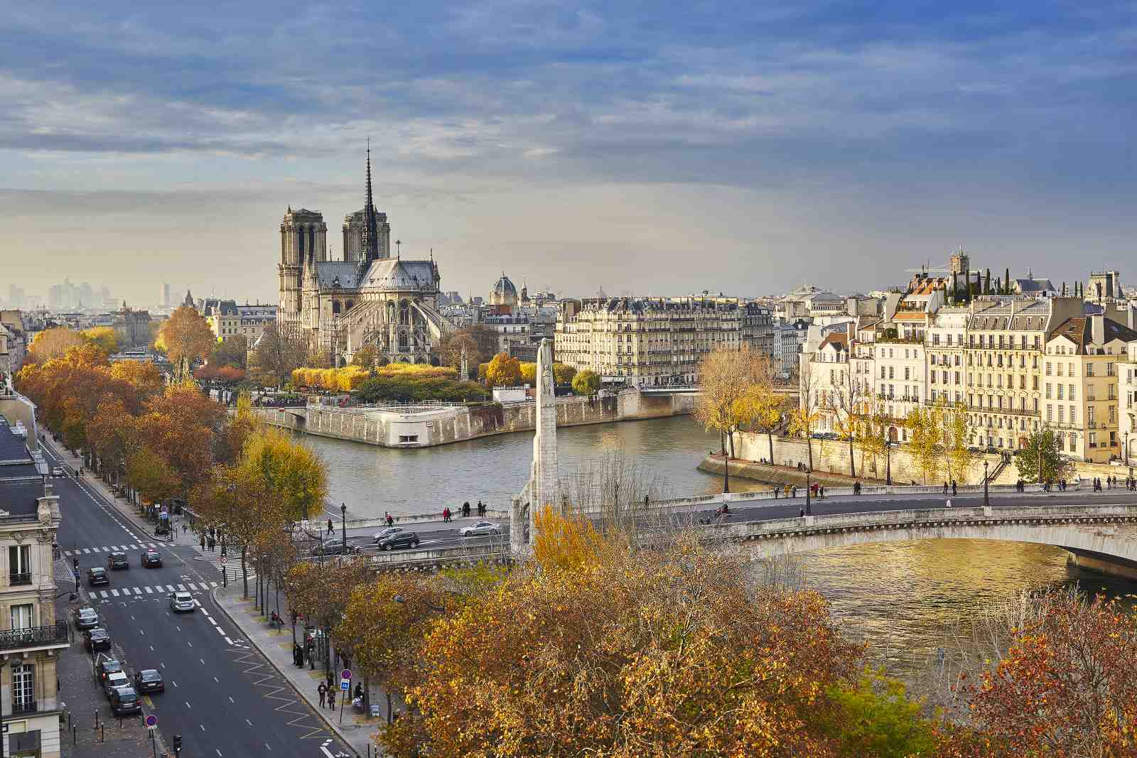 Parisian Autumn Notre Dame Wall Art