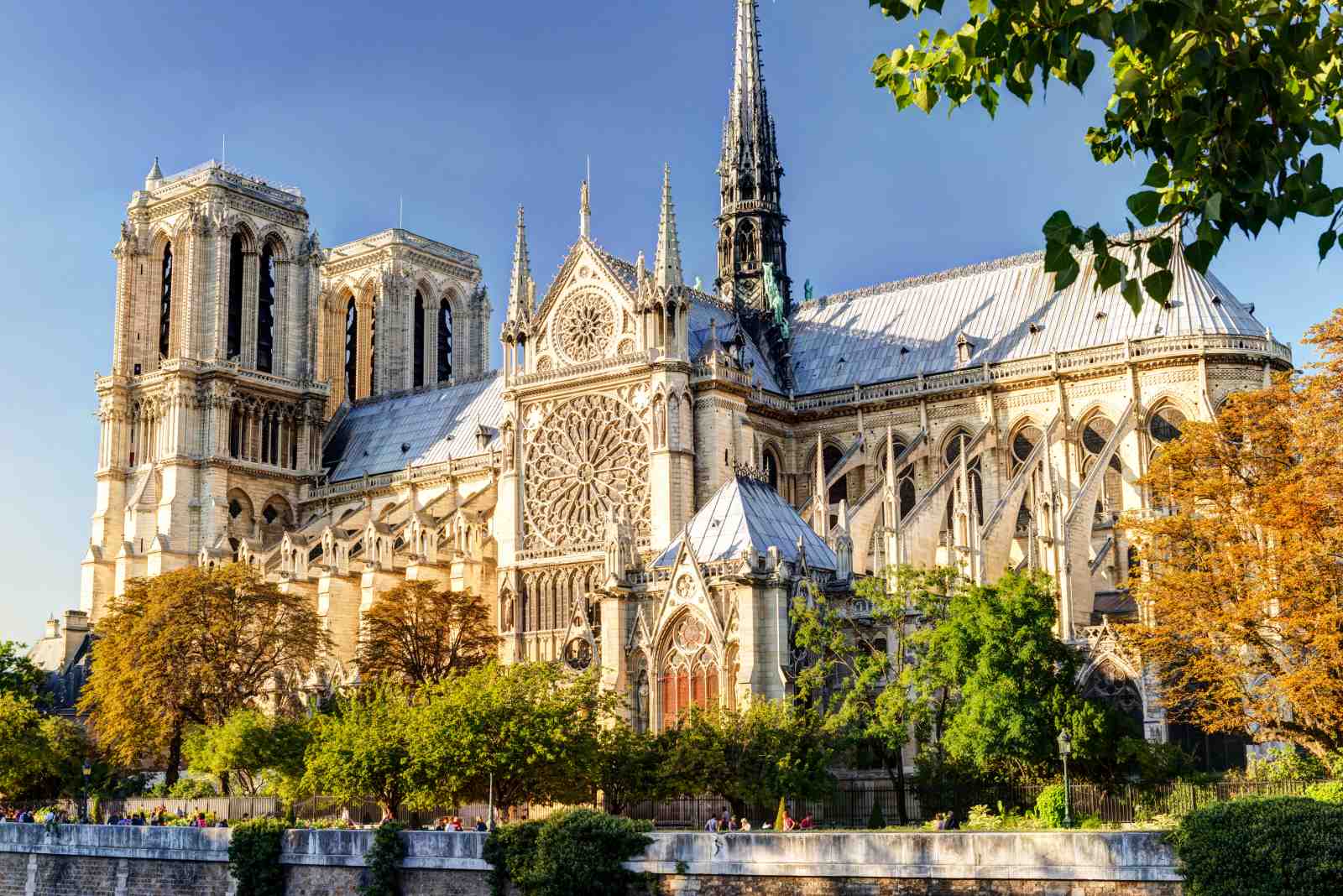 Notre Dame Paris Cathedral Wall Art Wall Art