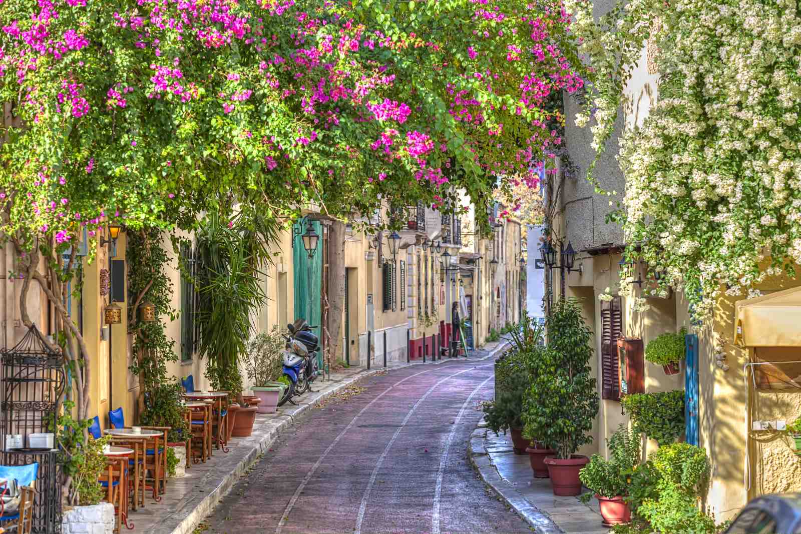 Charming Athens Street Floral Wall Art