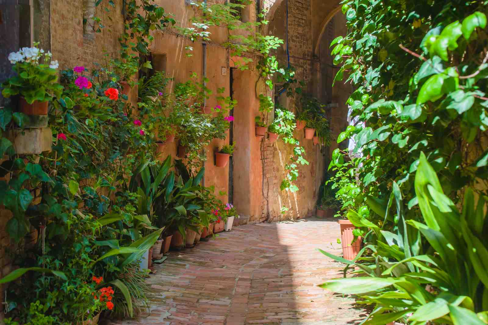 Enchanting Italian Alleyway Floral Wall Art Wall Art