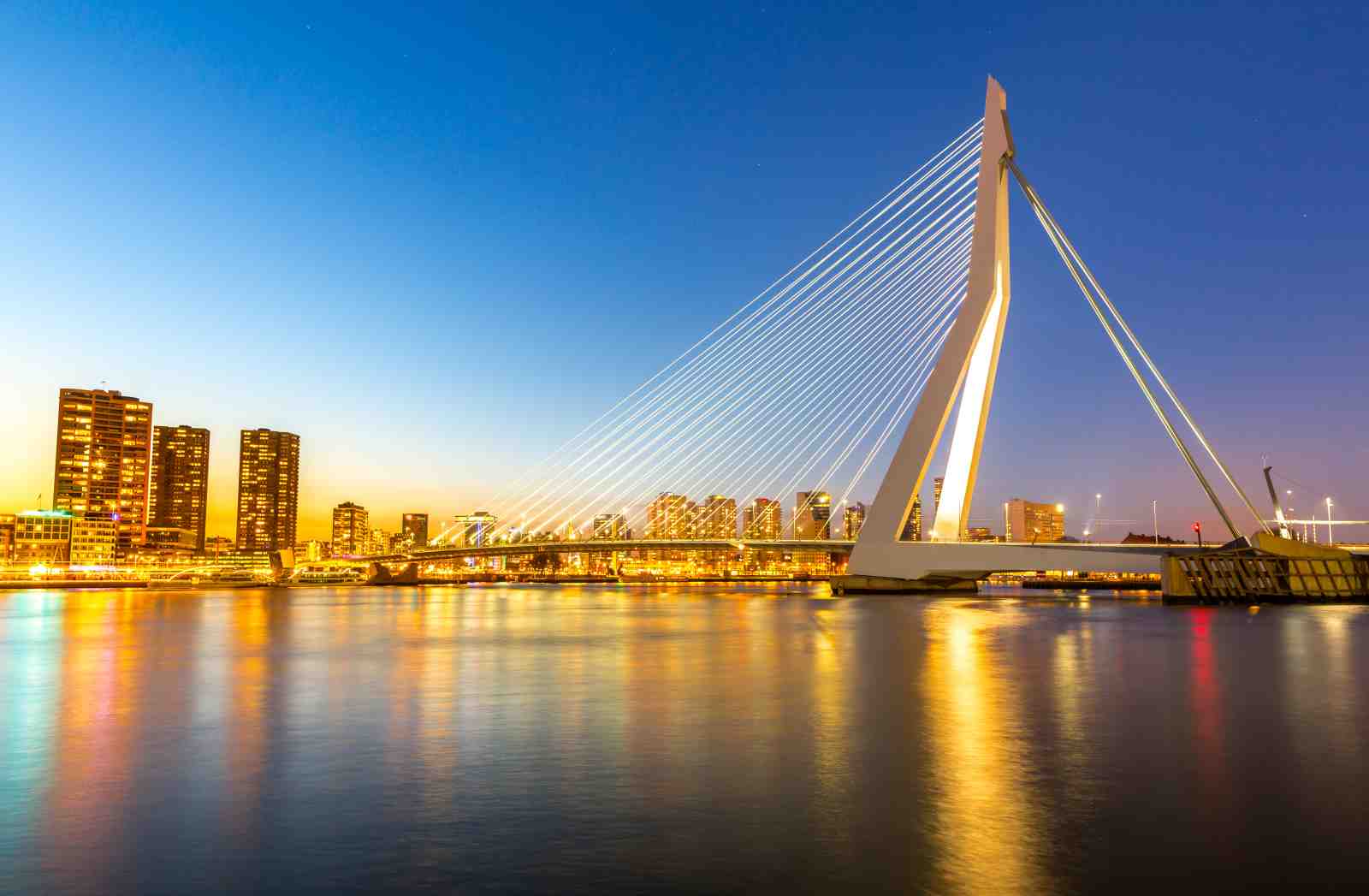 Rotterdam Cityscape Bridge Evening Wall Art