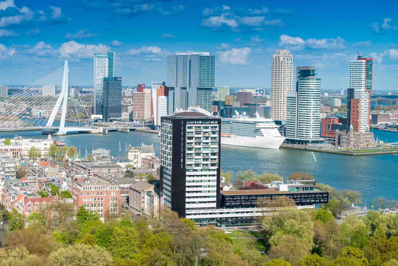 Rotterdam Cityscape Bridge & Cruise Ship Wall Art