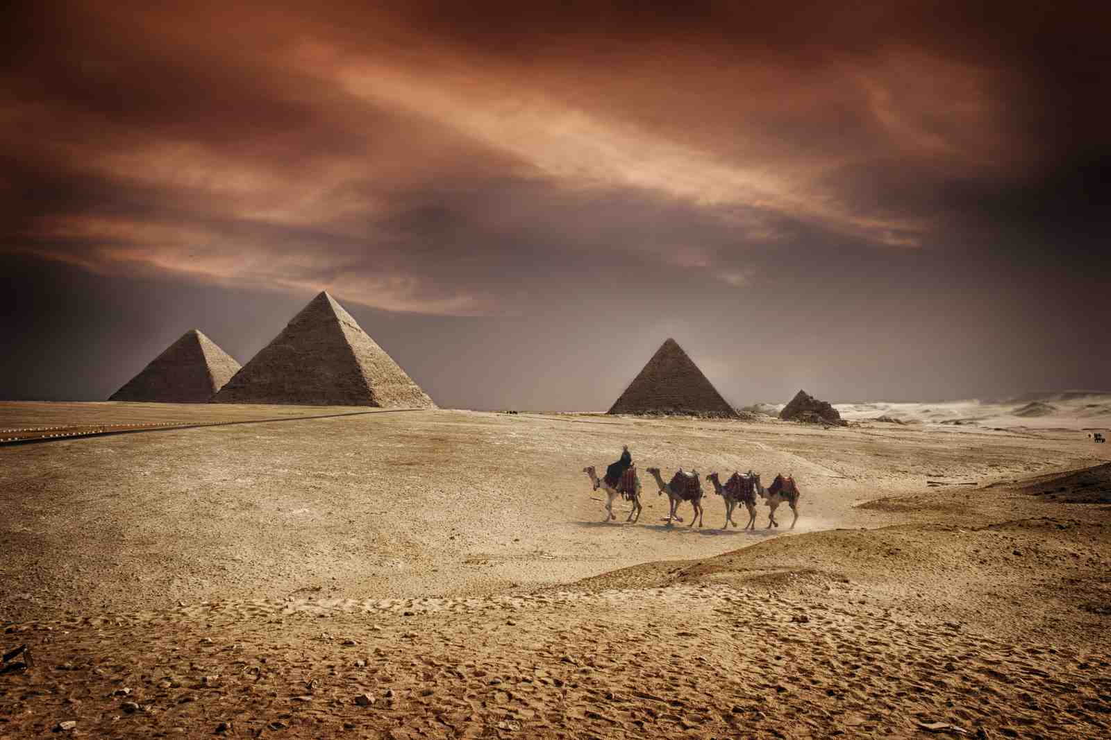 Ancient Egypt Camel Caravan Pyramid Wall Art