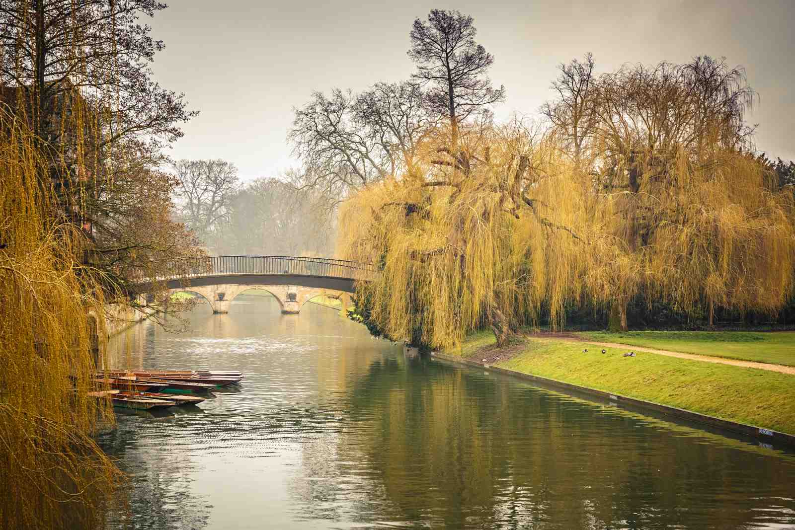 Serene Bridge & Willow Tree Wall Art