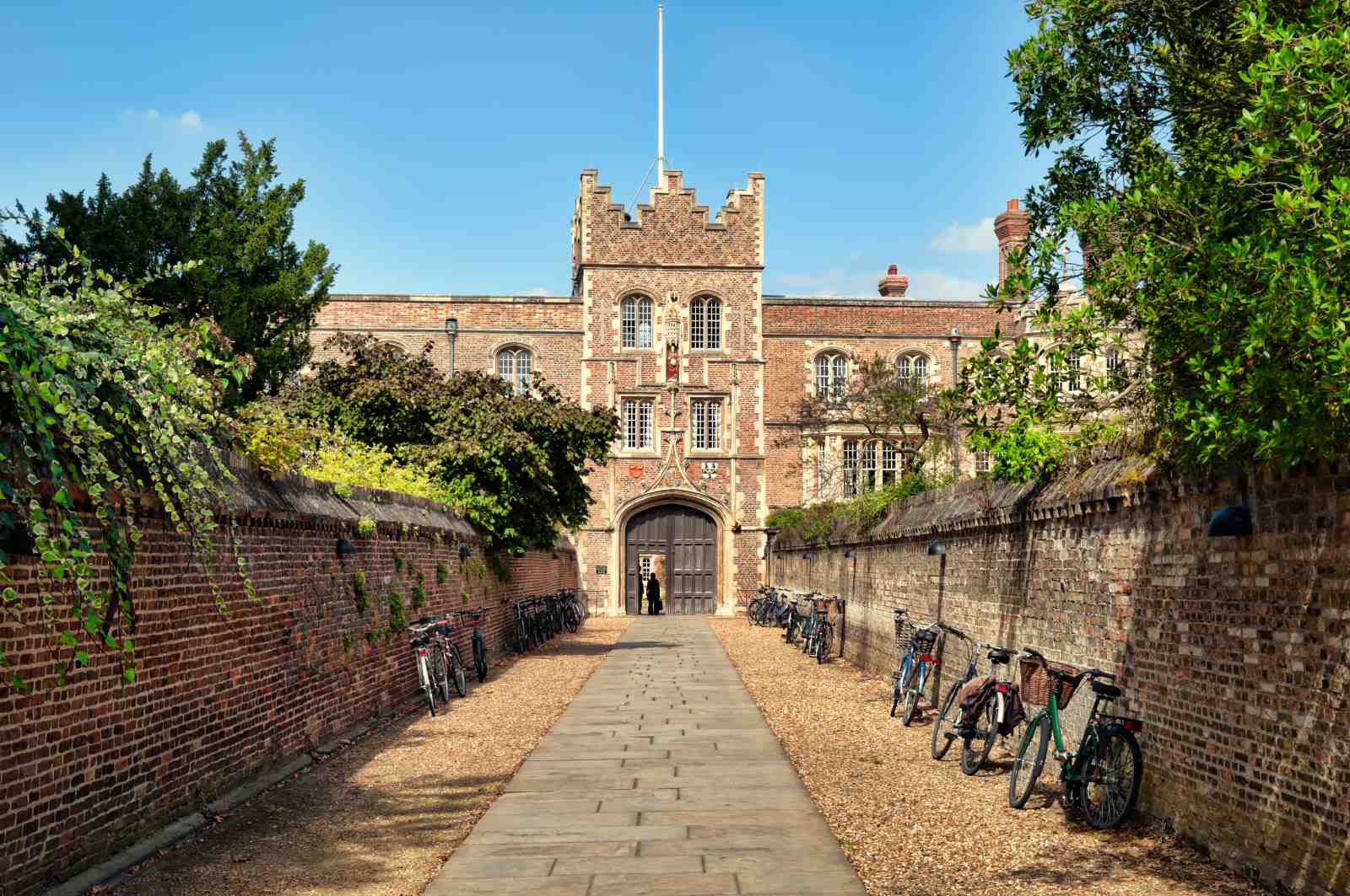Historic Cambridge College Pathway Wall Art