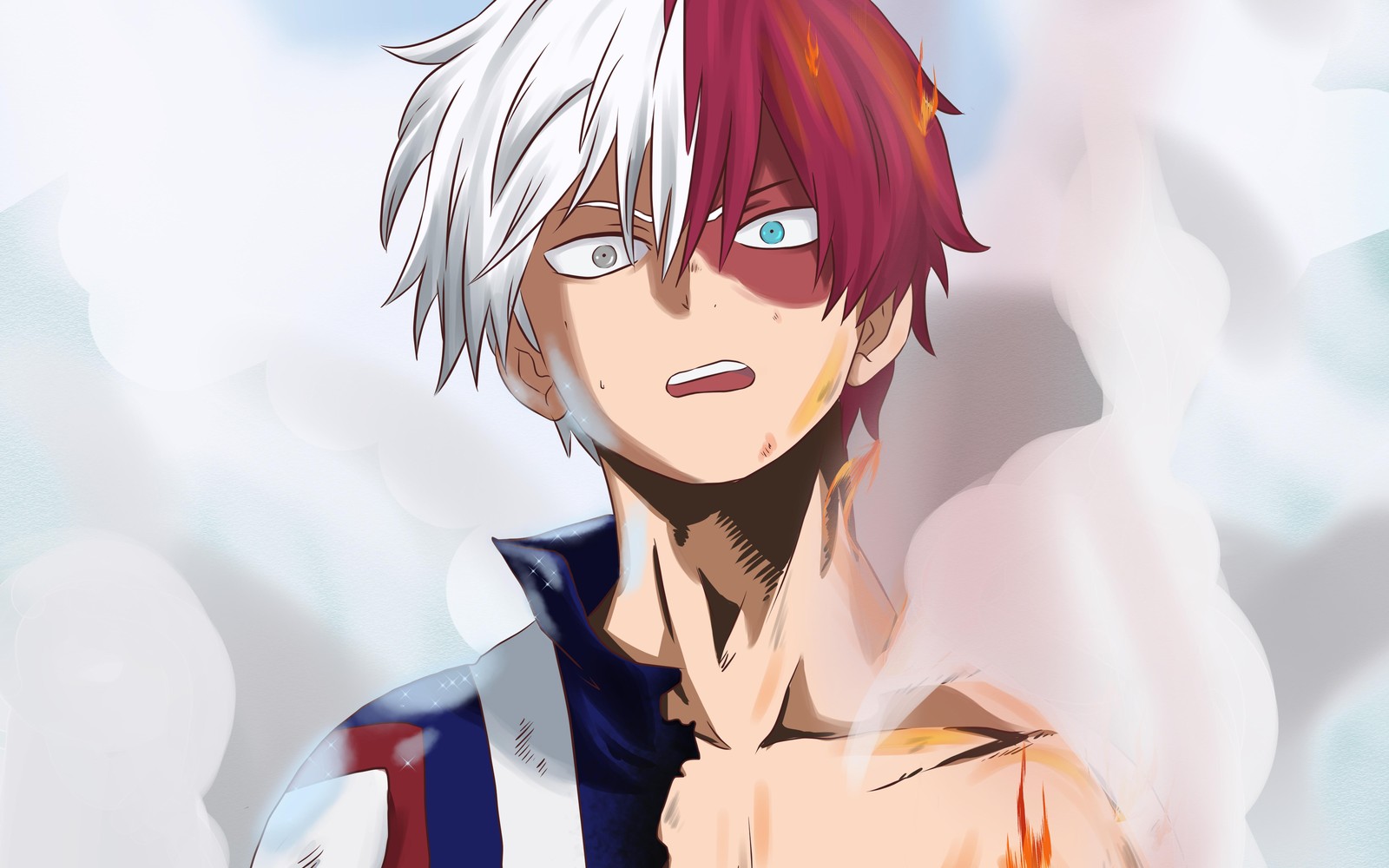 Todoroki Fire & Ice Anime Wall Art