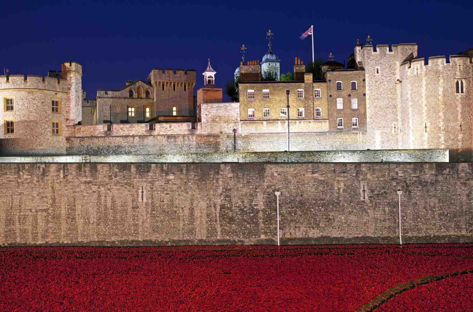 Tower of London Poppies Wall Art