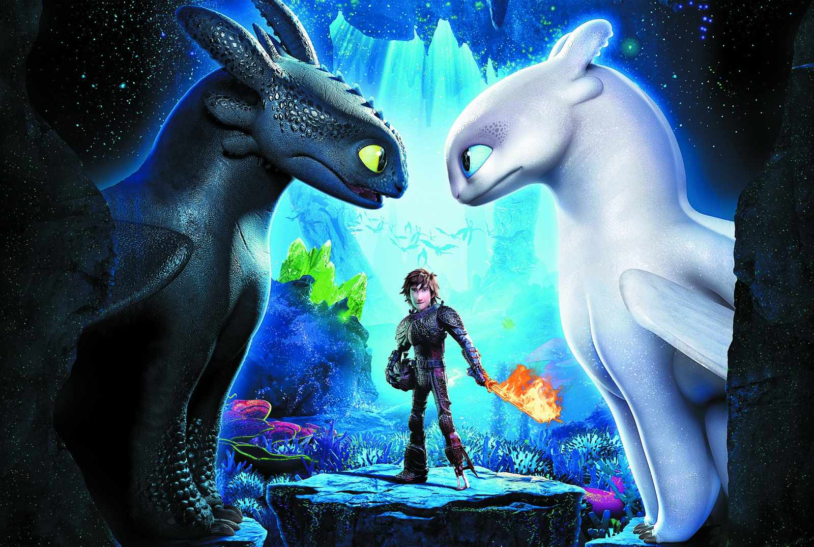 Hiccup & Dragons Epic Scene Wall Art